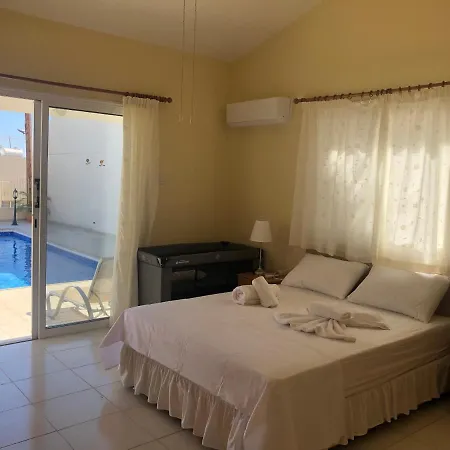 Peyia Palm
